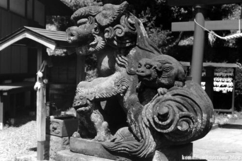 狛犬たちのモノローグ　　File1164　　真福谷白山神社