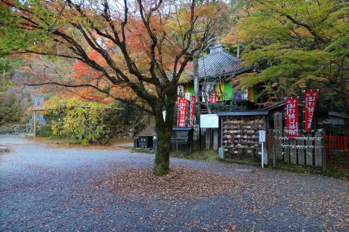 今熊野観音寺、泉涌寺塔頭の紅葉模様