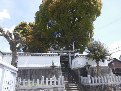 八幡神社 -橿原市四条町-