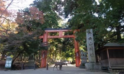 【2020年11月】奈良県観光＆神社仏閣参拝まとめ（２）