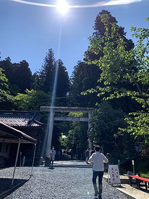 御岩神社の参道は清々しくて気持ちが良い
