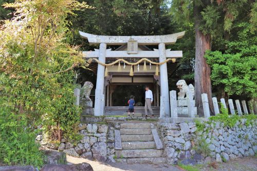 岩上神社（南丹市）・ご神木に抱かれた岩神様の奇観