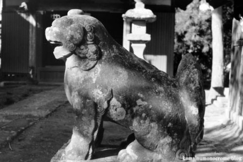 狛犬たちのモノローグ　　File.1234　　八幡神社