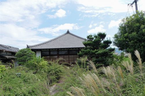 常林寺の萩とススキ