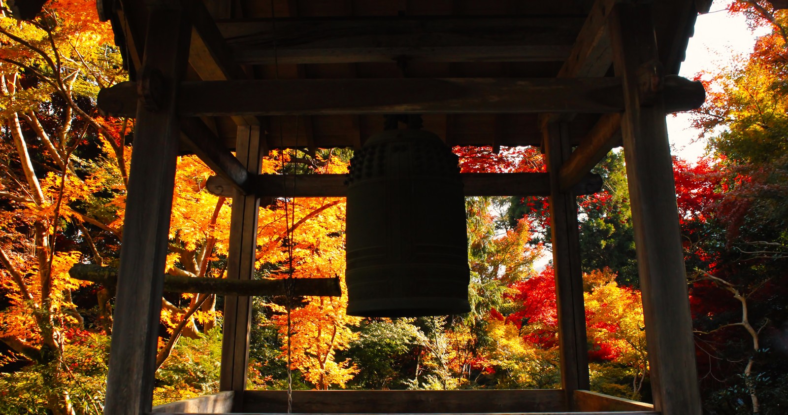 富山県の寺院：真国寺