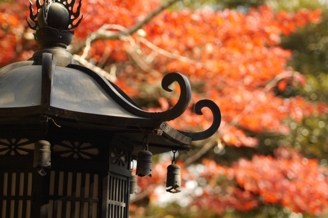 那比新宮神社はパワースポット★巨樹の生命力が溢れる神社★苔好きにたまらない！岐阜県　