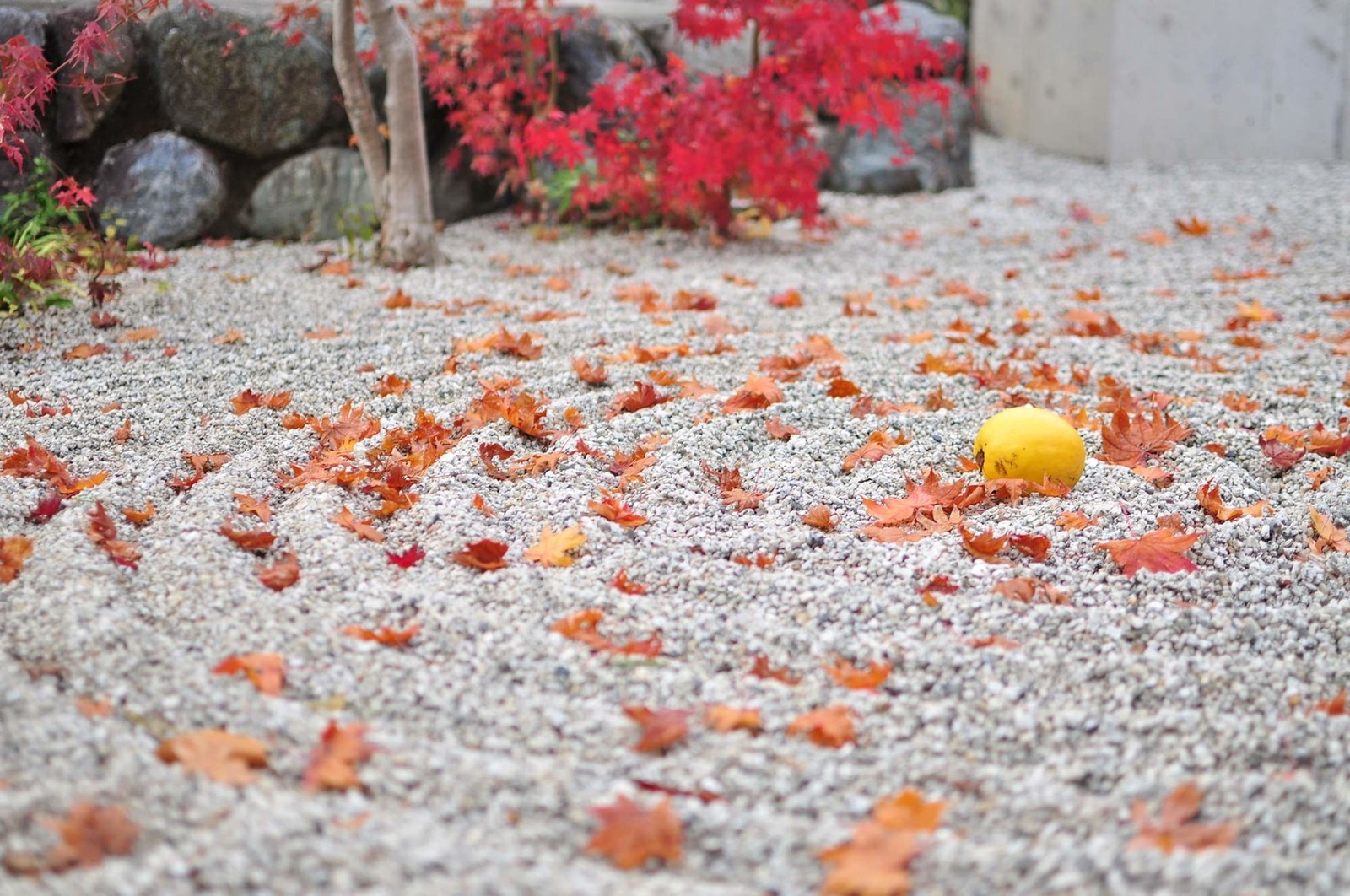奈良県の神社：郡山八幡神社