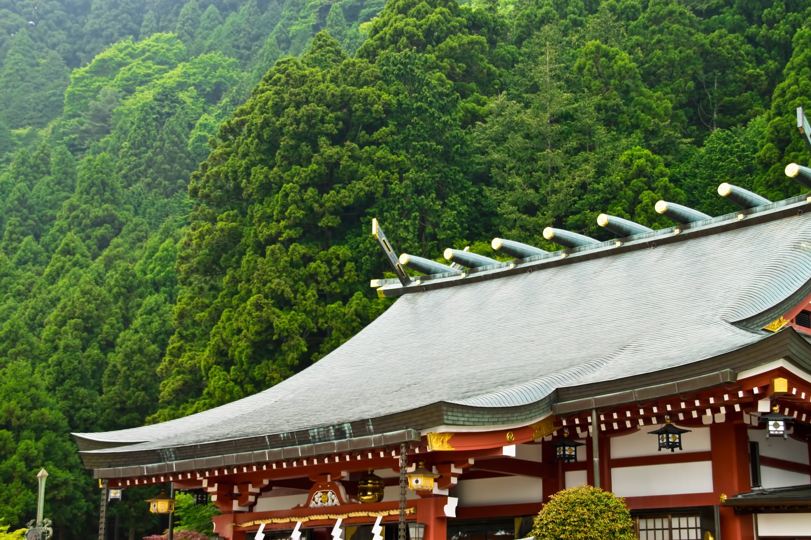 富山県の寺院：光顔寺